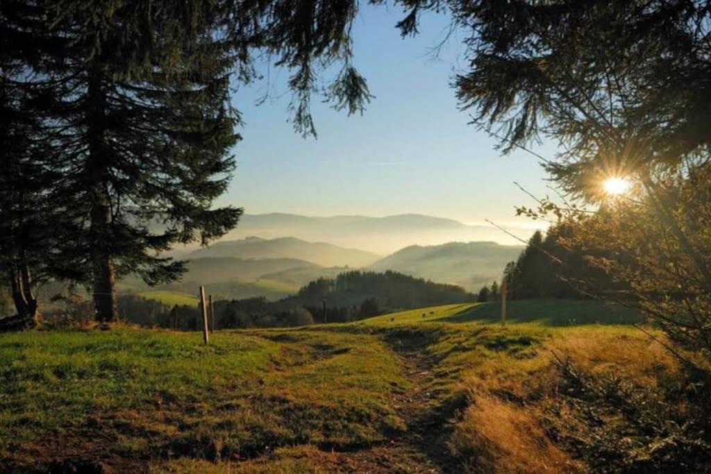 Urlaub Auf 1.000 Meter Hoehe Mit Pool Und Sauna Schönwalde Exterior foto