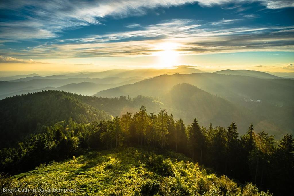 Urlaub Auf 1.000 Meter Hoehe Mit Pool Und Sauna Schönwalde Exterior foto